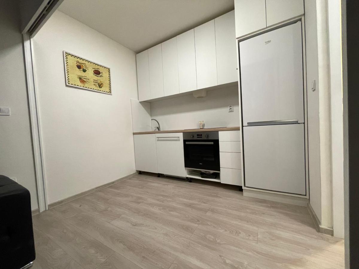 Red&Black Apartment City Centr, Na Hradbach 118 Οστράβα Εξωτερικό φωτογραφία