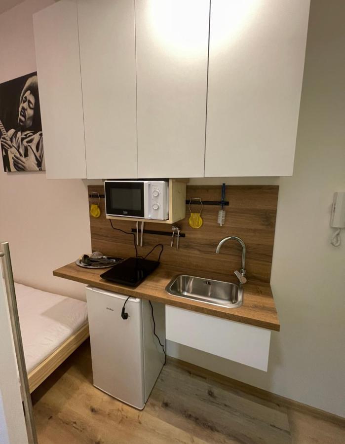 Red&Black Apartment City Centr, Na Hradbach 118 Οστράβα Εξωτερικό φωτογραφία
